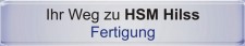 Routenplaner Google (TM) Maps